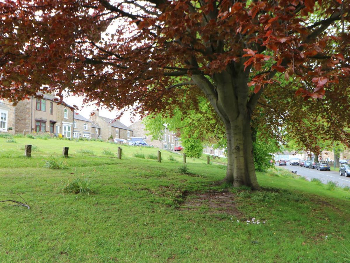 Villa Langlands à Barnard Castle Extérieur photo